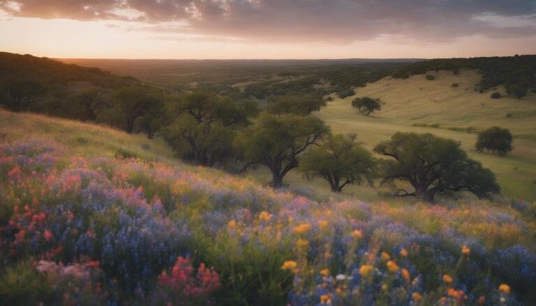 What Cities Are Considered Texas Hill Country