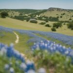 What Part of Texas Is Considered the Hill Country