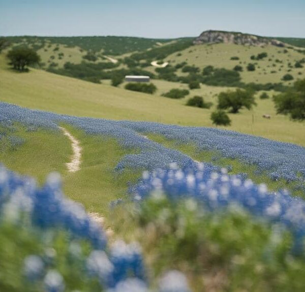 What Part of Texas Is Considered&hellip;