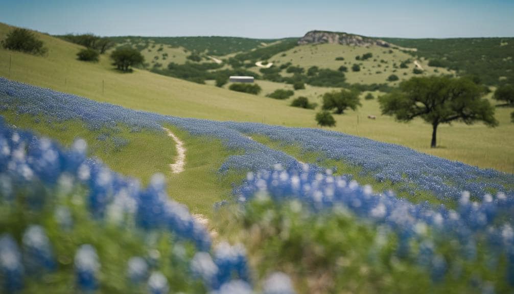 What Part of Texas Is Considered the Hill Country