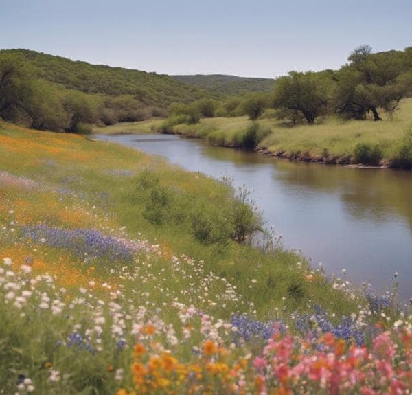 When to Visit Texas Hill Country