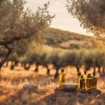 Where to Buy Texas Hill Country Olive Oil