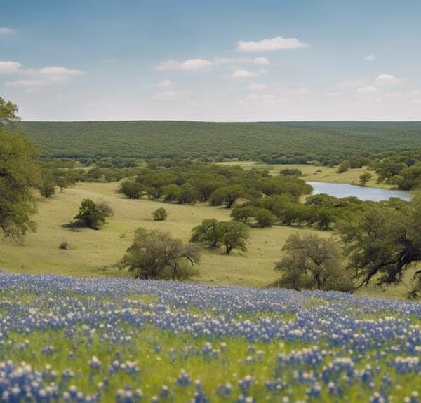 Why Is It Called Texas Hill&hellip;